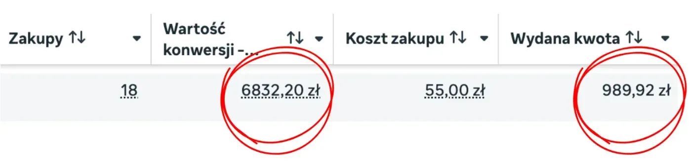 Wyniki kampanii: 18 zakupów, 6832,20 zł wartości konwersji i 989,92 zł wydanej kwoty