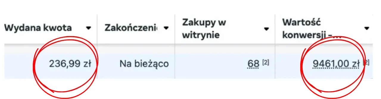 Wyniki kampanii: 68 zakupów w witrynie, 9461,00 zł wartości konwersji i 236,99 zł wydanej kwoty