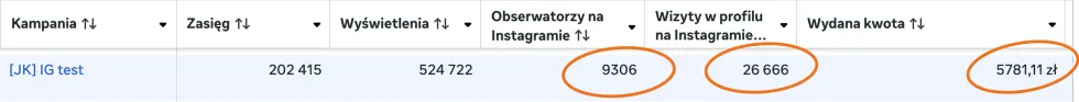 Case study z kampanii kierującej na Instagrama — wyniki kampanii