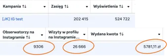 Case study z kampanii kierującej na Instagrama — wyniki kampanii